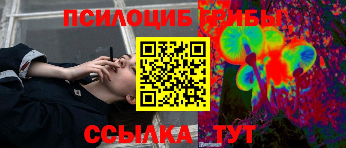 Галлюциногенные грибы Psilocybine cubensis Симферополь