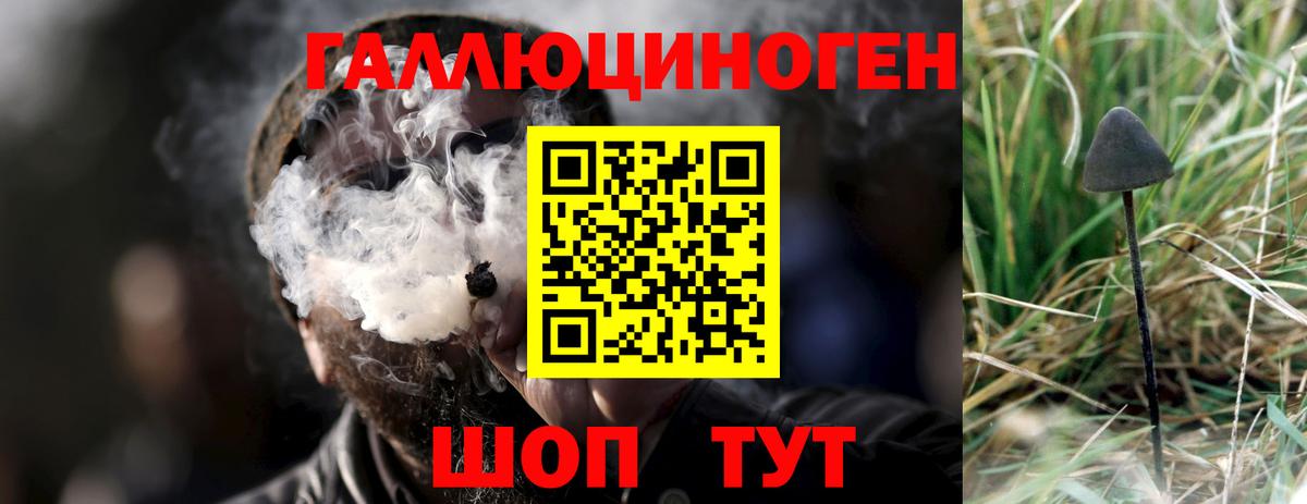 Галлюциногенные грибы прущие грибы  Псилоцибиновые грибы MAGIC MUSHROOMS  Вход с VPN  Симферополь 
